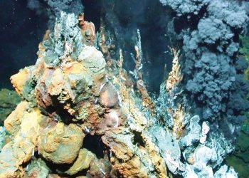 Yaponiyada dənizin dibində zəngin qızıl yatağı aşkarlandı