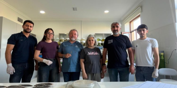 Xəzər dənizində balıq ehtiyatlarının elmi əsaslarla öyrənilməsi məqsədilə laborator təhlillərə başlanıb