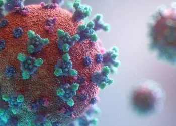 Almaniyada naməlum virus yayılır