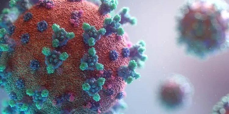 Almaniyada naməlum virus yayılır