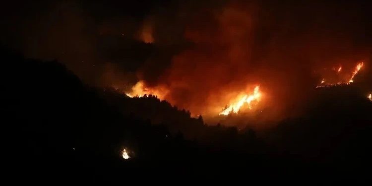 Əlcəzairdə meşə yanğınları 12 nəfərin həyatına son qoyub