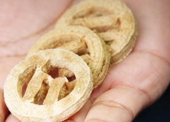 Plastikdən qida hazırlamaq üçün yeni üsul