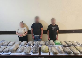 Külli miqdarda narkotik vasitənin ölkə ərazisinə keçirilməsinin qarşısı alınıb