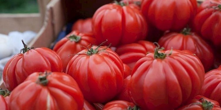 Yumşalmış pomidoru dəyərləndirməyin ən ləzzətli yolları