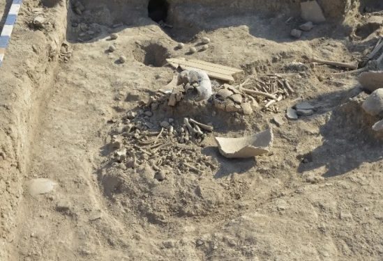 Cəlilabadda ziyarətgah ərazisindən sümük qalıqları çıxarıldı