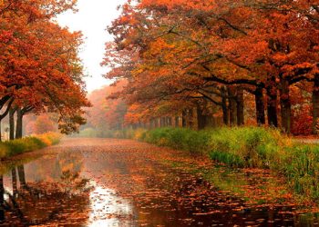 Payızın Azərbaycana daxil olacağı tarix açıqlandı