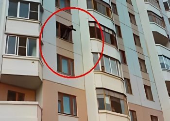 Bakıda oğlunu öldürən qadın özünü binadan atdı