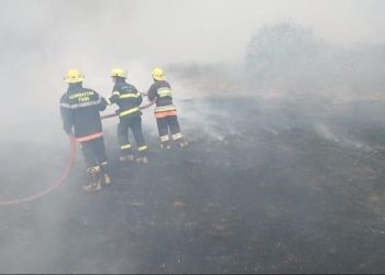 Ağsuda açıq ərazidə yanğın başladı