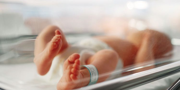 22 il əvvəl dondurulan embriondan sağlam körpə doğuldu