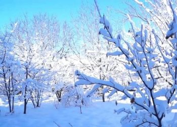 Qar artıq bu ərazilərə yağıb – Faktiki hava