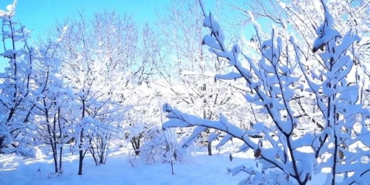 Qar artıq bu ərazilərə yağıb - Faktiki hava