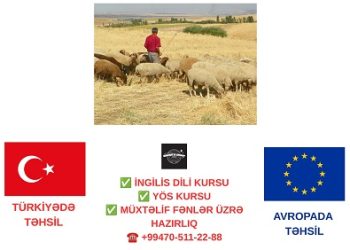 Ermənistana keçən çoban Azərbaycana qaytarıldı