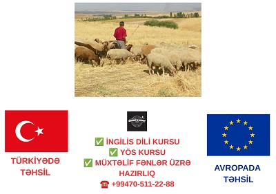 Ermənistana keçən çoban Azərbaycana qaytarıldı
