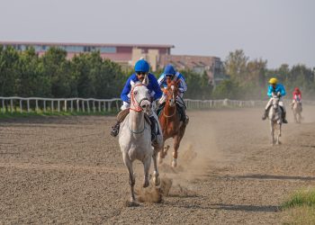 Cıdır mövsümünə yekun vurulub