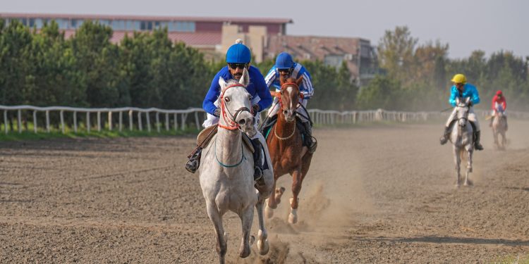 Cıdır mövsümünə yekun vurulub